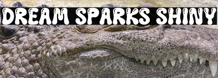 Dream Sparks Shiny Example 1