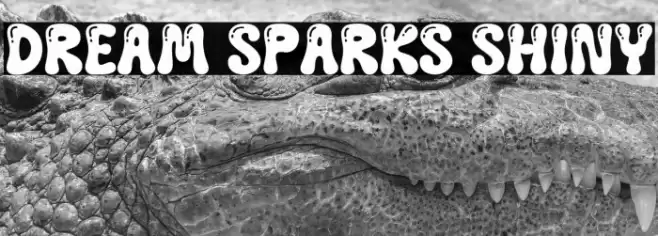 Dream Sparks Shiny 字体 examples