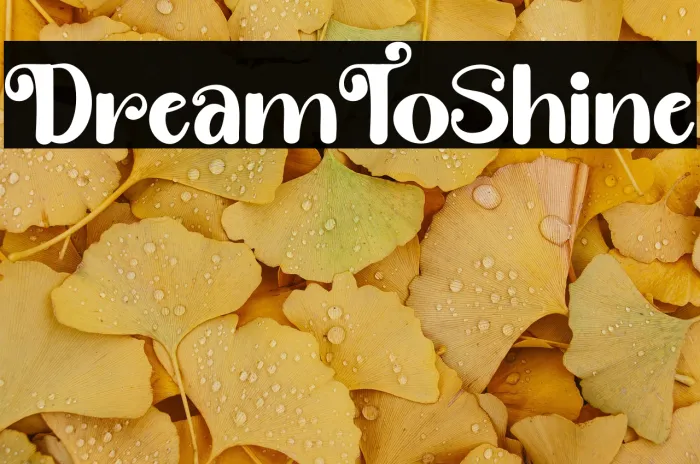 Dream ToShine Example 1