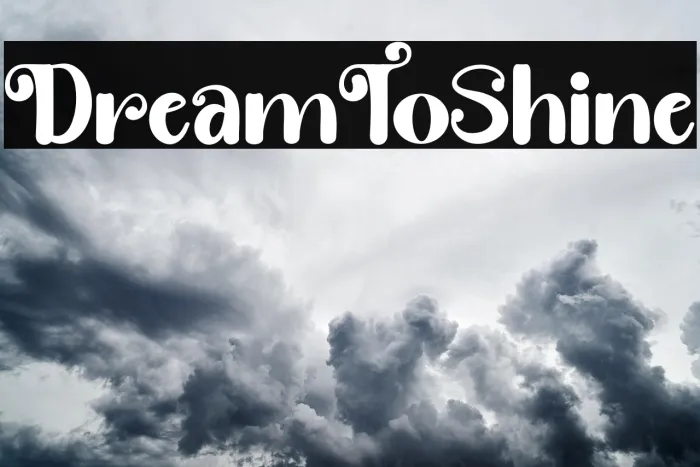 Dream ToShine Example 3