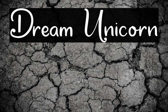 Dream Unicorn Example 1