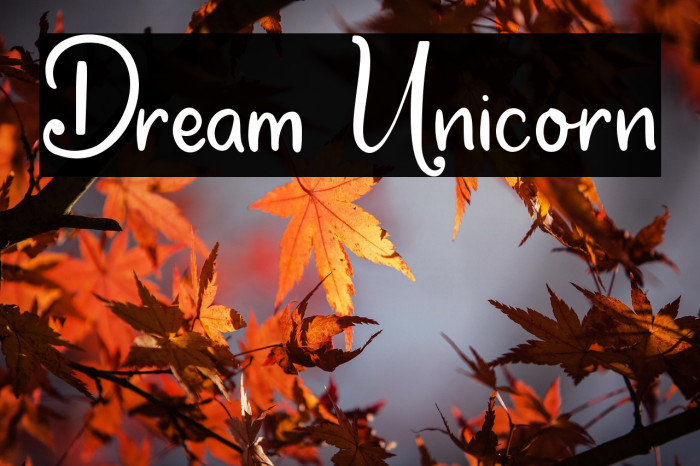 Dream Unicorn Example 3