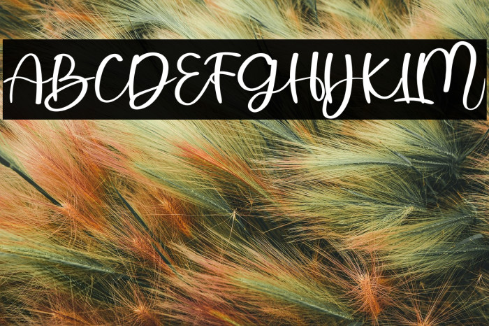 Dream Valentine Example 1