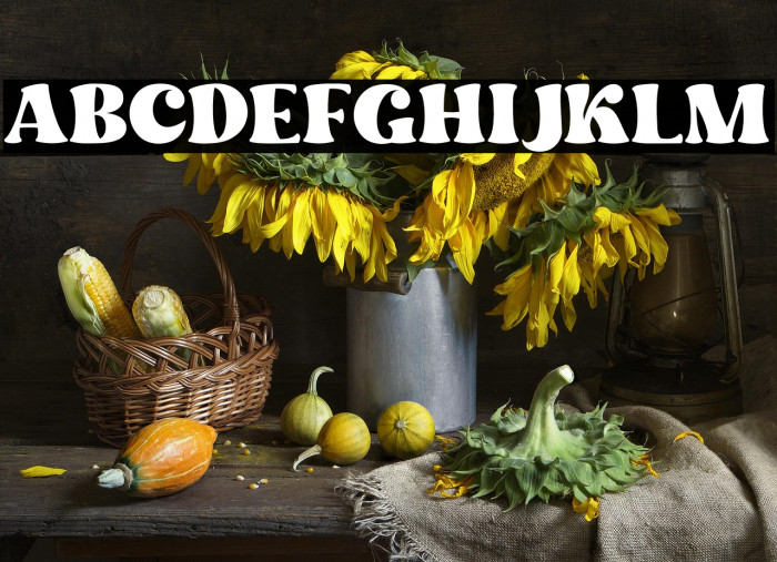 Dream to Berich DEMO (FOR USE P Example 1