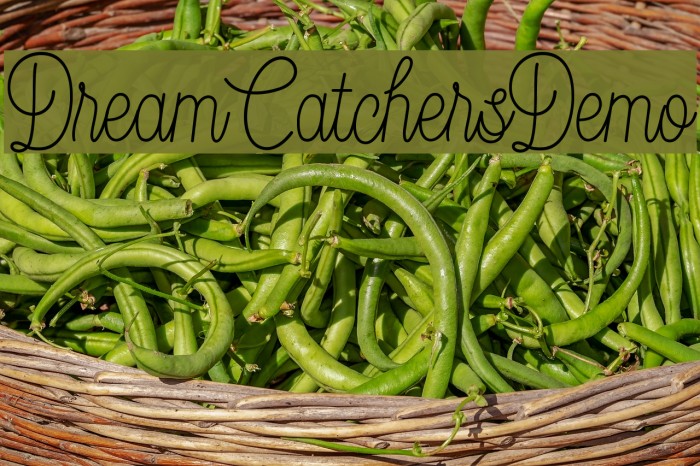 DreamCatchersDemo Font examples