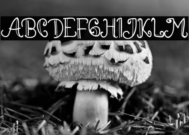 DreamHouseSantaRegular Font examples