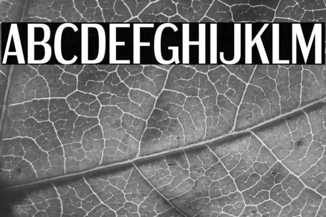 DreamOrphanageRg-Regular Font examples