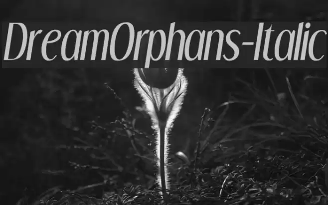 DreamOrphans-Italic Font examples