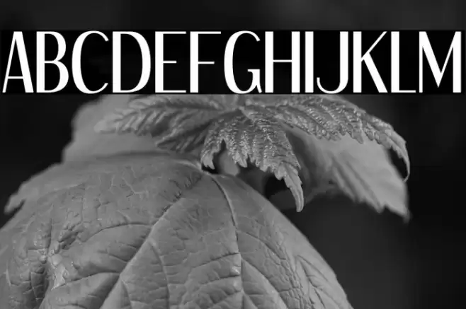 DreamOrphans-Regular Font examples