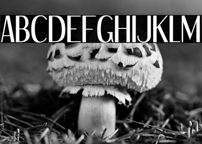 DreamOrphans-Regular Font examples