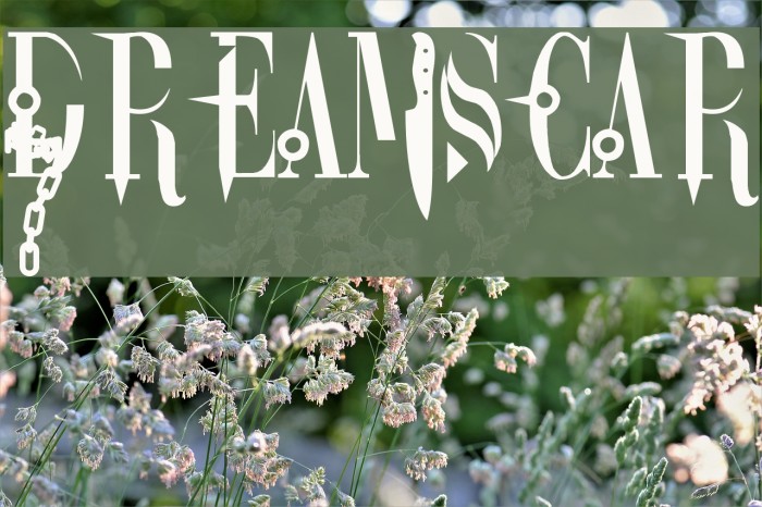 DreamScar لخطوط تنزيل examples