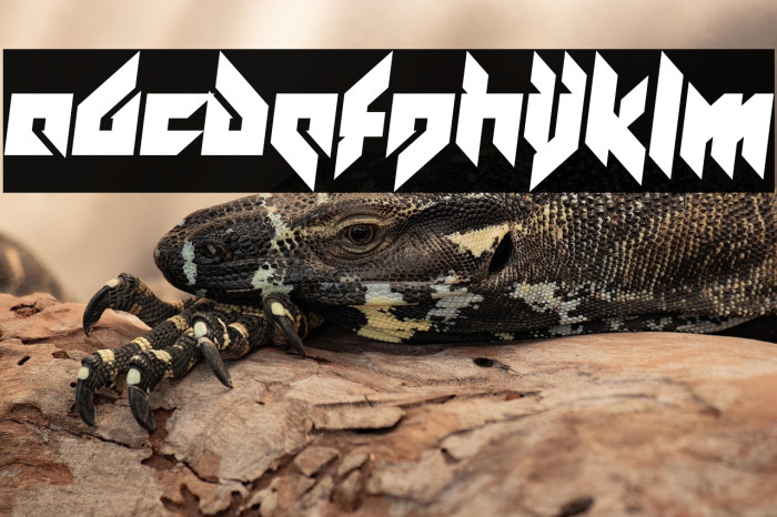 Dreamcatcher Example 3