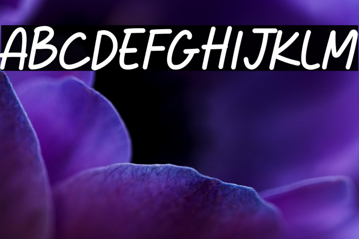 Dreame Patter Script Example 1