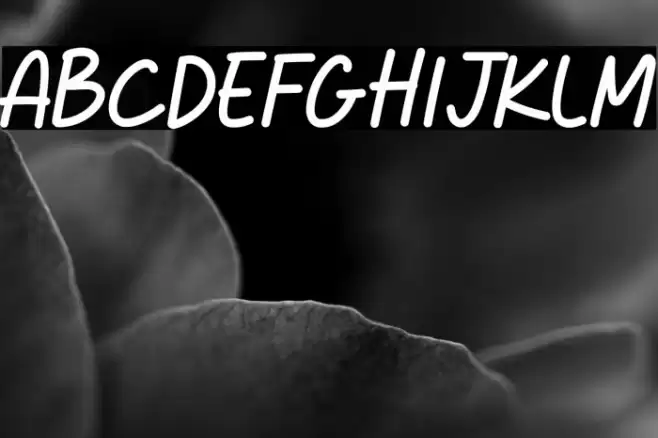 Dreame Patter Script Font examples