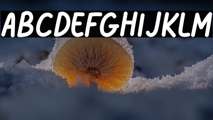 DreamePatter-Caps Example 1