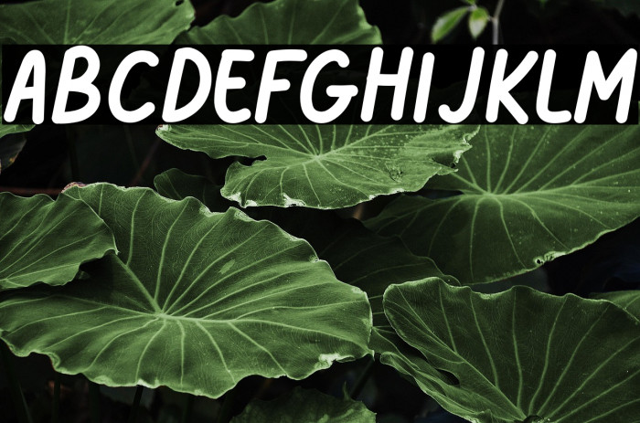 DreamePatter-Caps Example 2