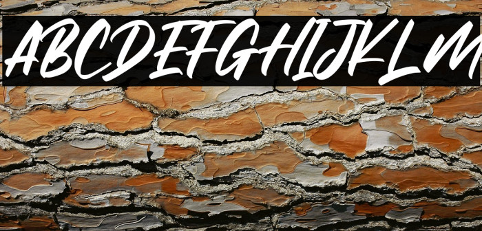 Dreamer Addict Example 3