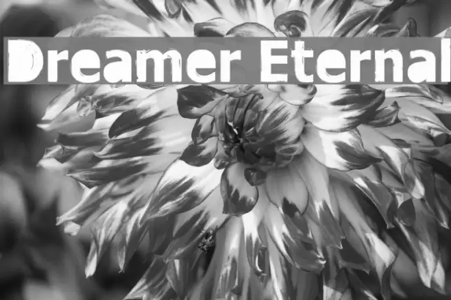 Dreamer Eternal Font examples