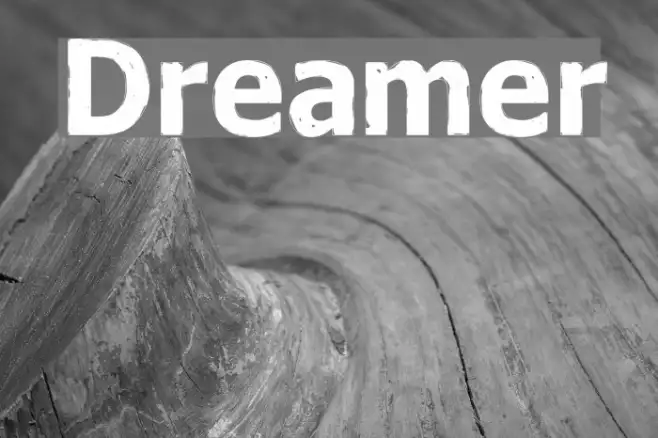 Dreamer Example 1