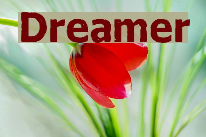 Dreamer Font examples