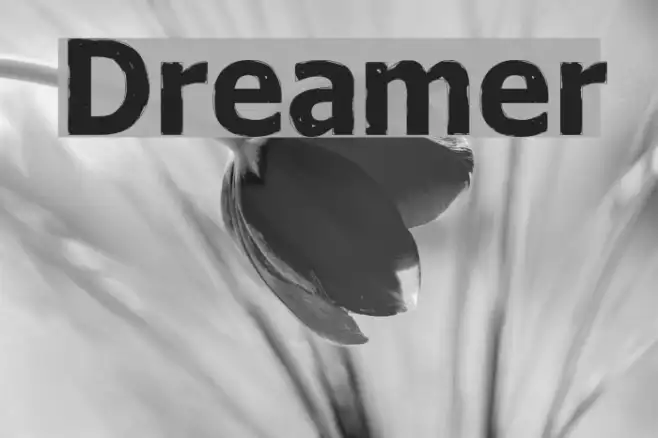Dreamer Example 3