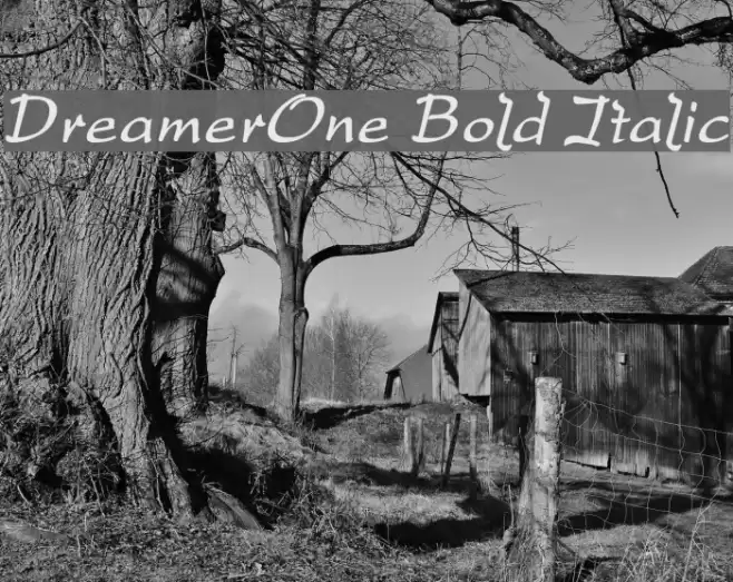 DreamerOne Bold Italic Font examples
