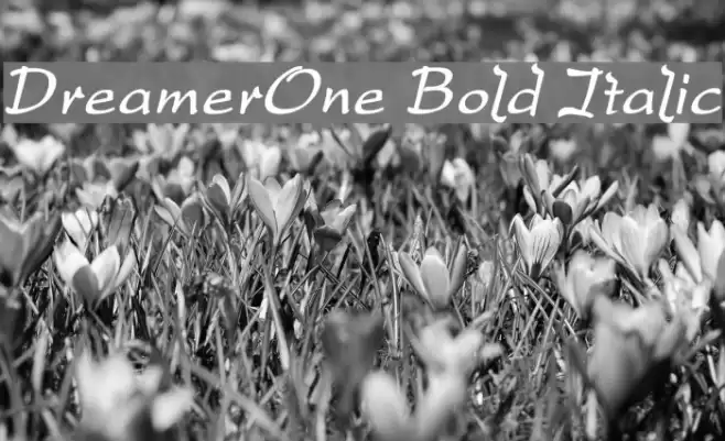 DreamerOne Bold Italic Font examples