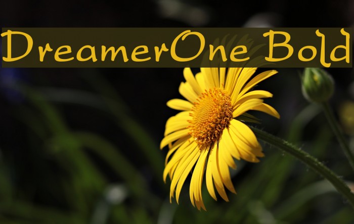 DreamerOne Bold Font examples