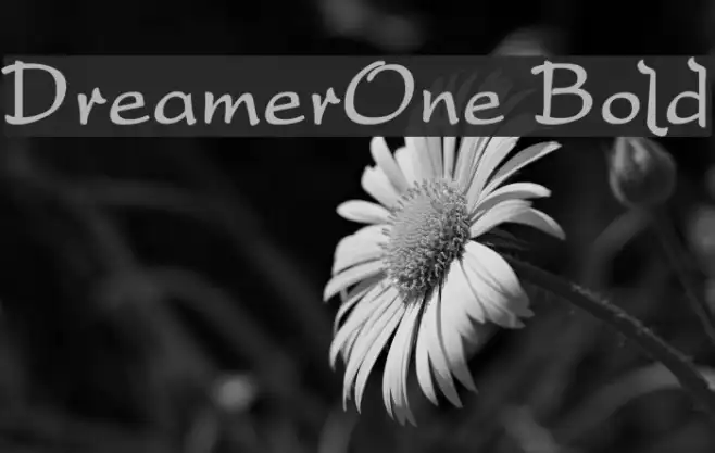 DreamerOne Bold Example 1