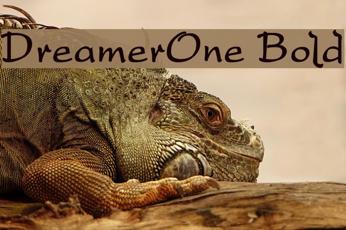 DreamerOne Bold Font examples