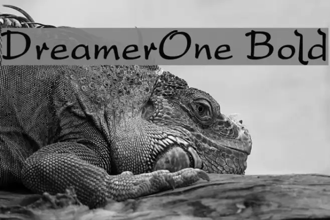 DreamerOne Bold Example 2