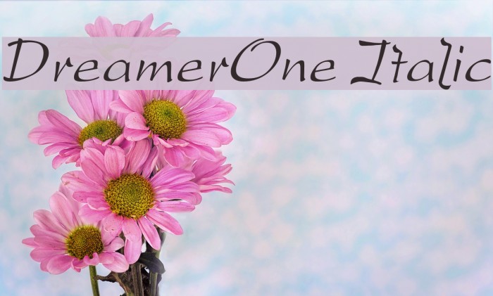 DreamerOne Italic Font examples