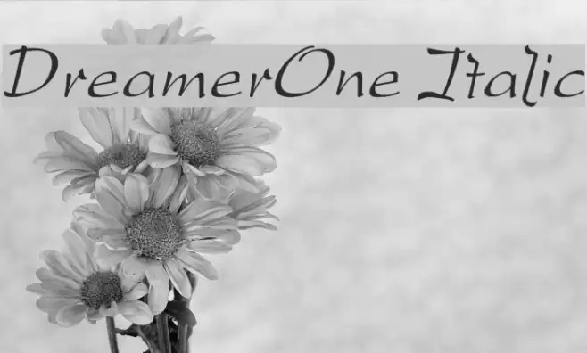 DreamerOne Italic Polices examples