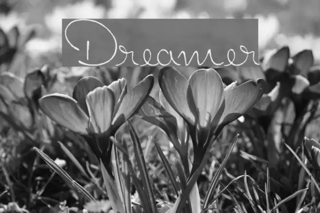 Dreamer Font examples