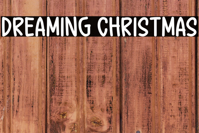 Dreaming Christmas Example 3