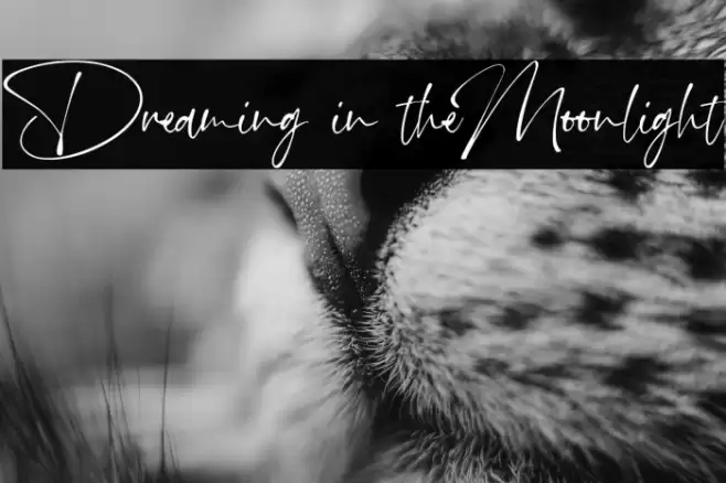Dreaming in theMoonlight Font examples