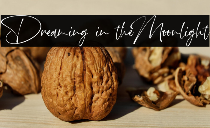 Dreaming in theMoonlight Example 2