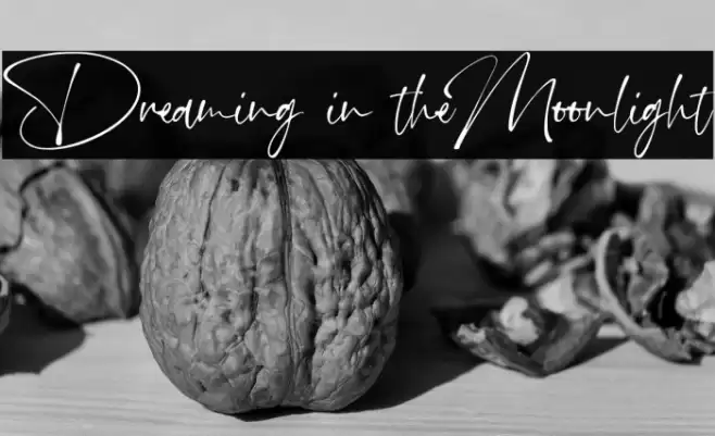 Dreaming in theMoonlight Font examples