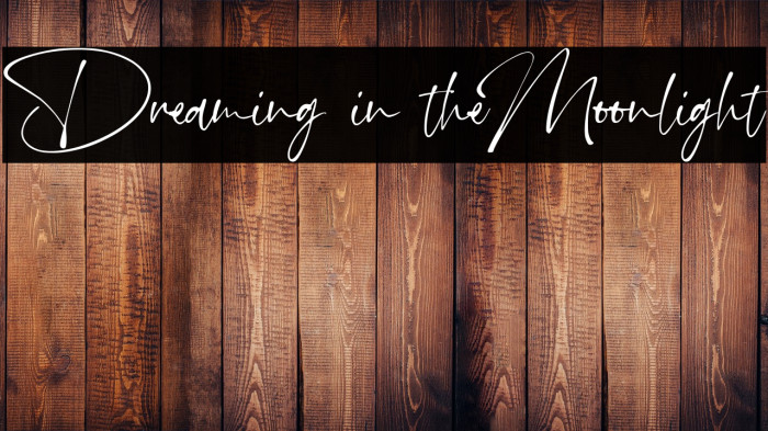 Dreaming in theMoonlight Example 3