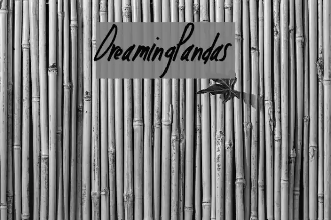 DreamingPandas Font examples