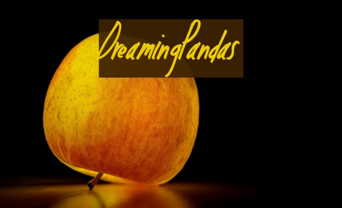 DreamingPandas Font examples