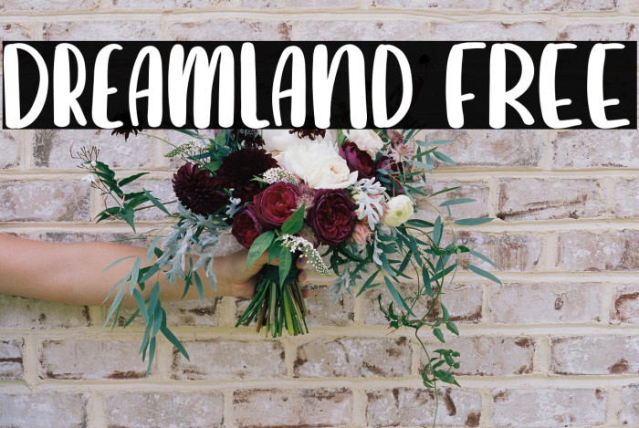 Dreamland FREE Example 2