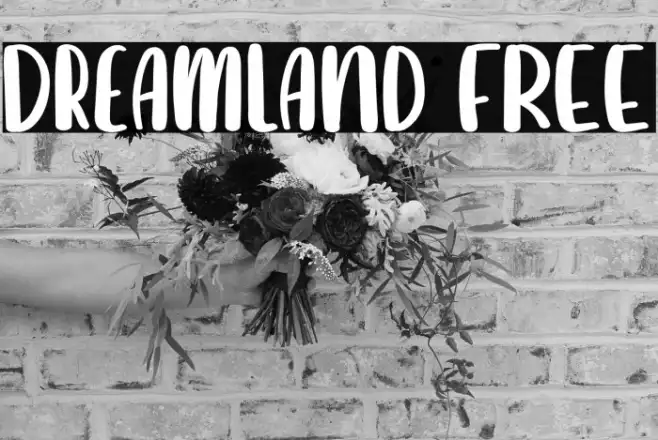 Dreamland FREE Example 2