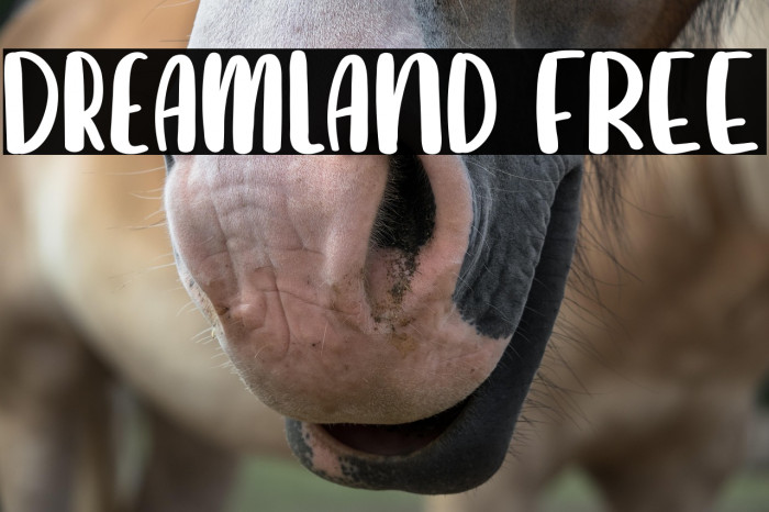 Dreamland FREE Example 3