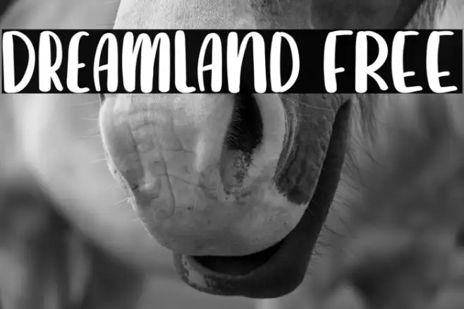 Dreamland FREE Example 3