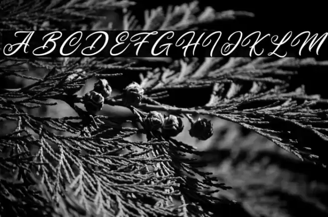 Dreamland Font examples