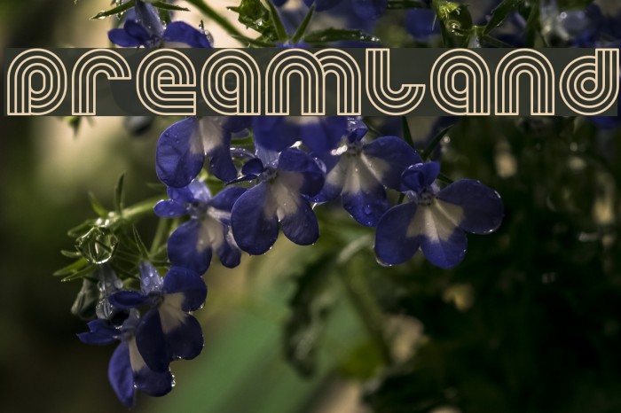 Dreamland फ़ॉन्ट examples