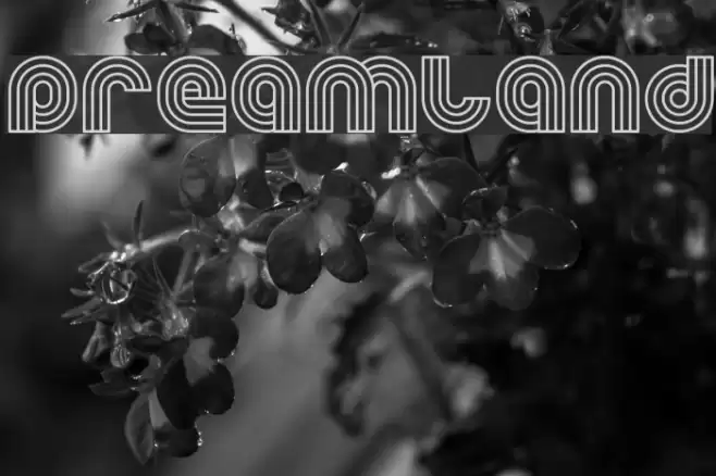 Dreamland Font examples