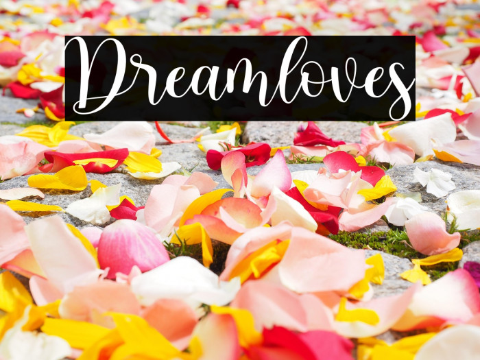 Dreamloves Example 3