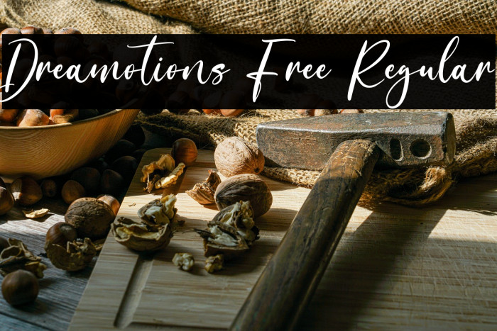 Dreamotions Free Regular Example 1